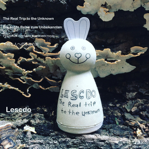 The Real Trip to the Unknown I