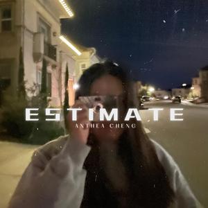 Estimate