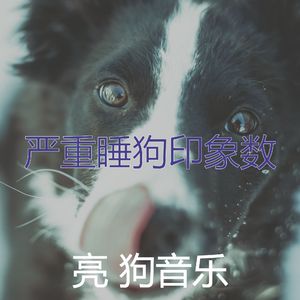 柔和的小狗时刻