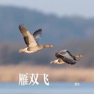 雁双飞 (Cover 胡蜜丹)
