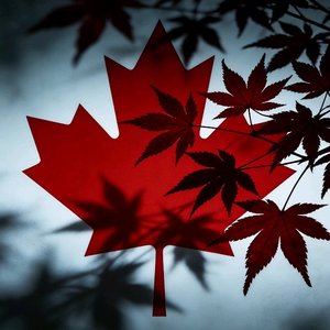 My time ft.JestonBeatz