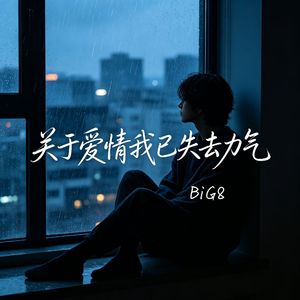 关于爱情我已失去力气