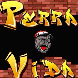 Perra vida (feat. Safados Santa & Wason)