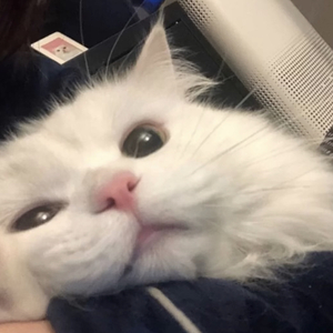 蝴蝶效应(B.E.)-就这样和你在一起0.8（走不進你心裡 remix）