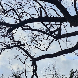 《礼物或惩罚》