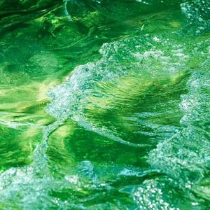 松花石上写春秋