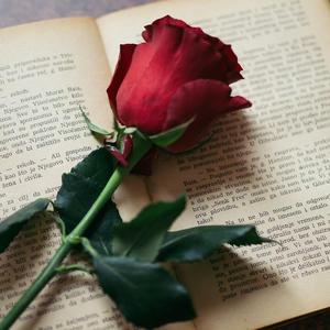 姚默同-那个女孩《翻唱》