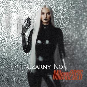 CZARNY KOŃ