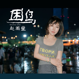 困鸟