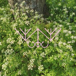 Pagan Plains (Acoustic)