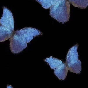 落叶的位置（翻自 坠）