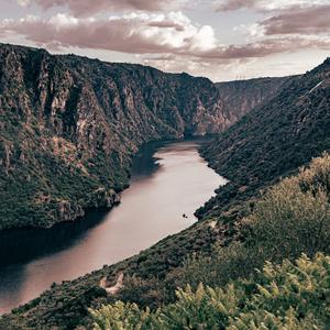 Mnich zostaje nad rzeką (Single)