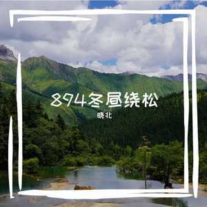894冬昼绕松