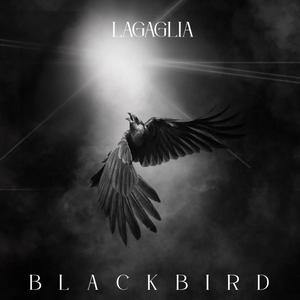 Blackbird