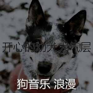 微妙的小狗心情