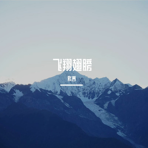 飞翔翅膀