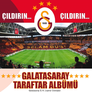 Çıldırın Çıldırın (Aslanlar Sahada)