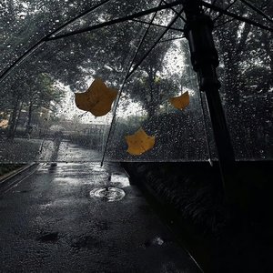 歌名：为你失了自己