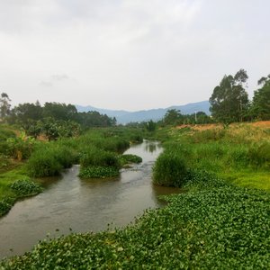 铜门红绳记(ai男声)
