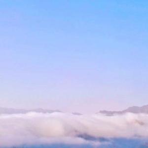 看过你的无微不至