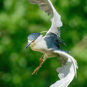 今天早睡了吗.mp3