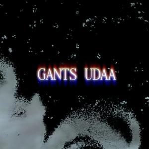 Gants udaa