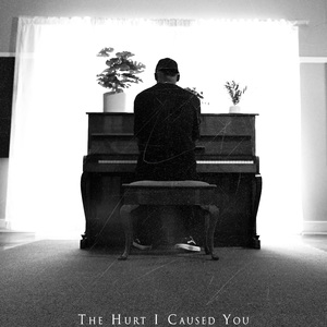 The Hurt I Caused You