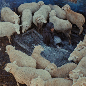 String – Variation VI