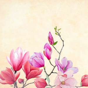 영원한 약속(永遠約束)