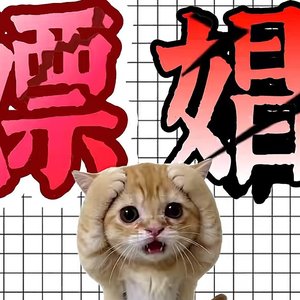 不要漂唱