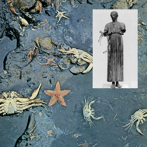 Isle of the Dead (Mystical Psychosis Version)