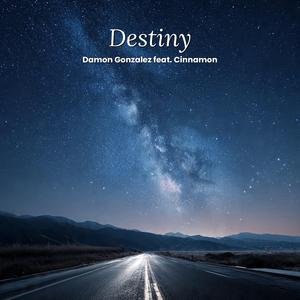 Destiny (feat. Cinnamon)