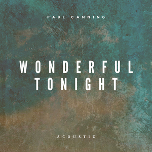 Wonderful Tonight (Acoustic)