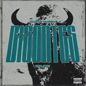 Bisontes (feat. Pacdemiso)
