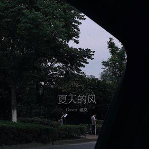 夏天的风