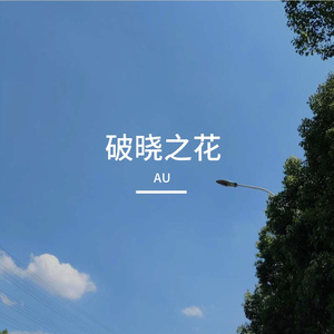 破晓之花