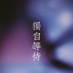 Macy Gray-独自等待（赵云雷 remix）