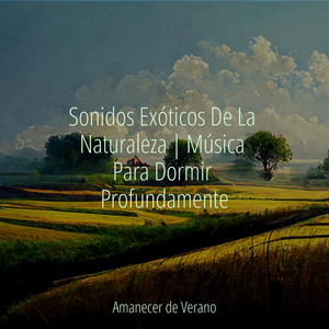 Revelando lo Invisible