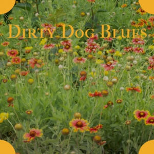 My Home Is Not A Home At All