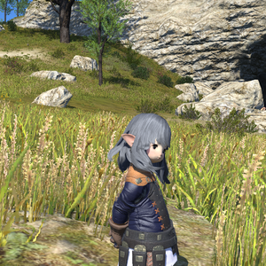 终有一天这眼泪将