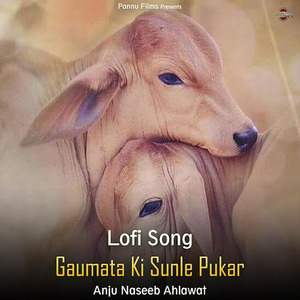 Gaumata Ki Sunle Pukar (lofi remix)