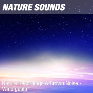 Nature Sounds for Zen Meditation, Reiki & Pilates (Calming wind noise) 09