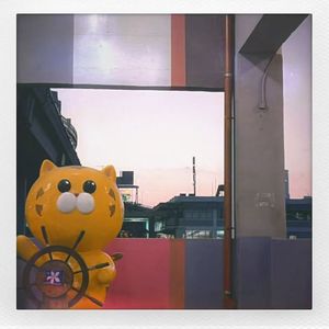 等你出现[EVOMUSIC Siren]