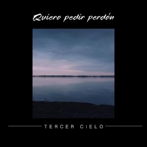 Quiero Pedir Perdon