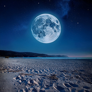 El Sonido De Sueños Gentiles