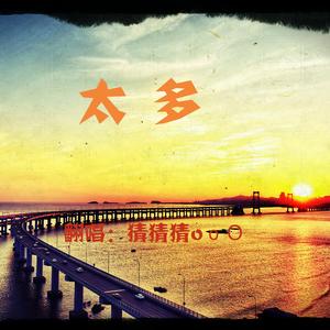 太多（翻自 阿冗）