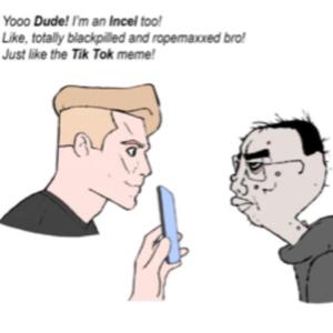 Hey Fakecel (Stop Making Incelcore)