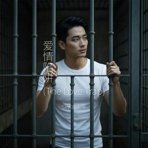 爱情陷阱 (The Love Trap)