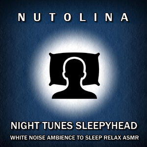 Rain on the Airplane Sounds