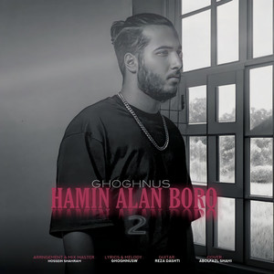 Hamin Alan Boro 2